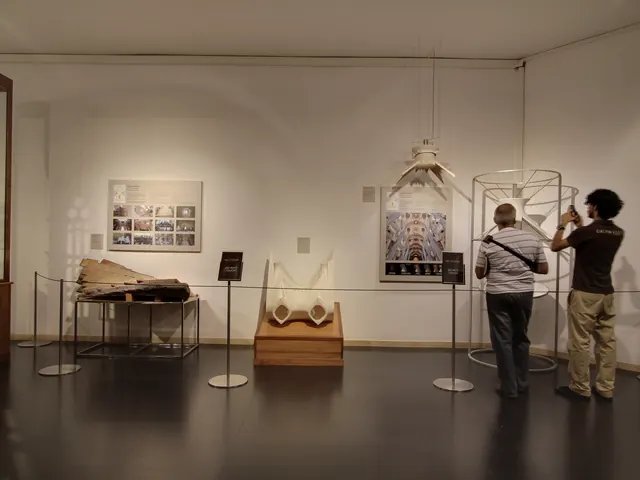 Dline · Sagrada Família museum, Barcelona · Photo 4